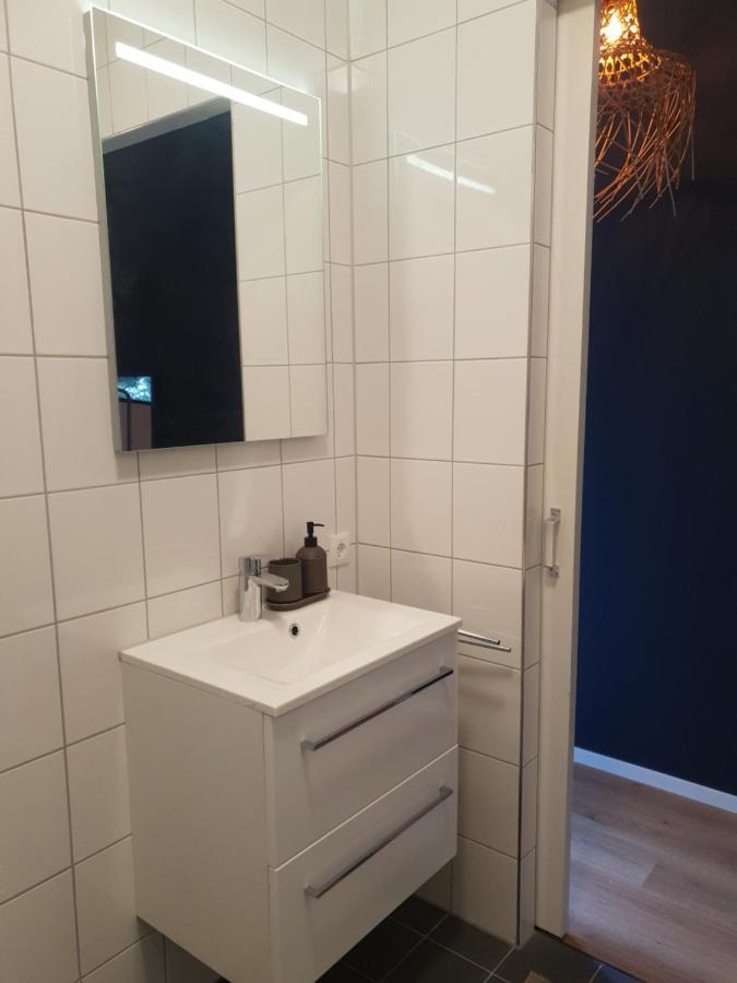 Willa Modern Tiny House Op Rustig Watersportpark Elahuizen Zewnętrze zdjęcie